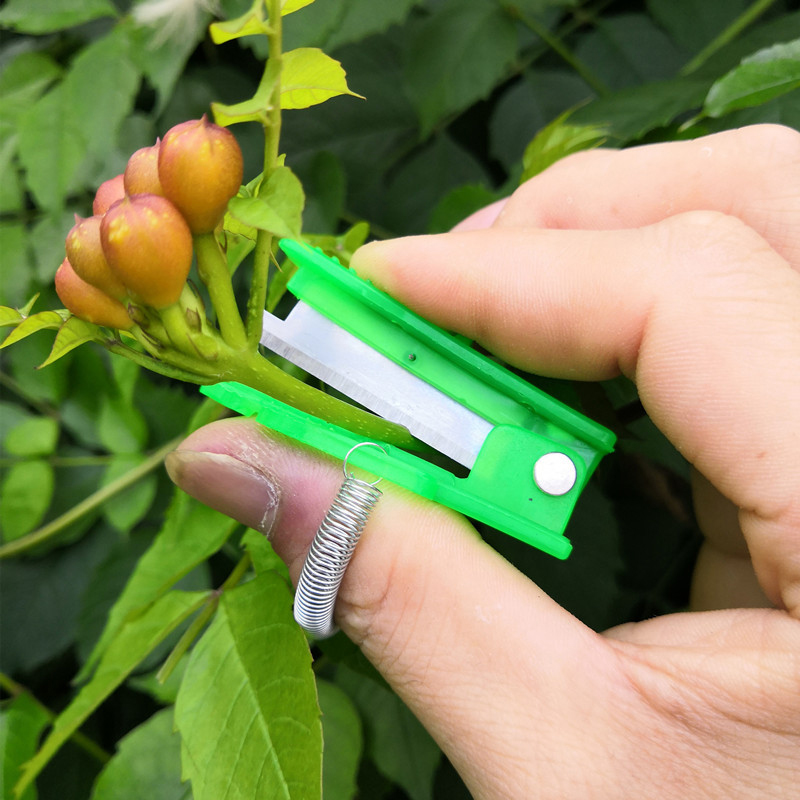 1/2/3pcs Vegetable Thump Knife - огляд і ціна Harvest Knife Garden