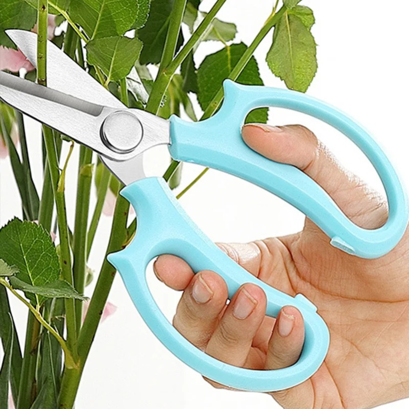 Professional Flower Scissor Ga - огляд і ціна Harvest Knife Garden
