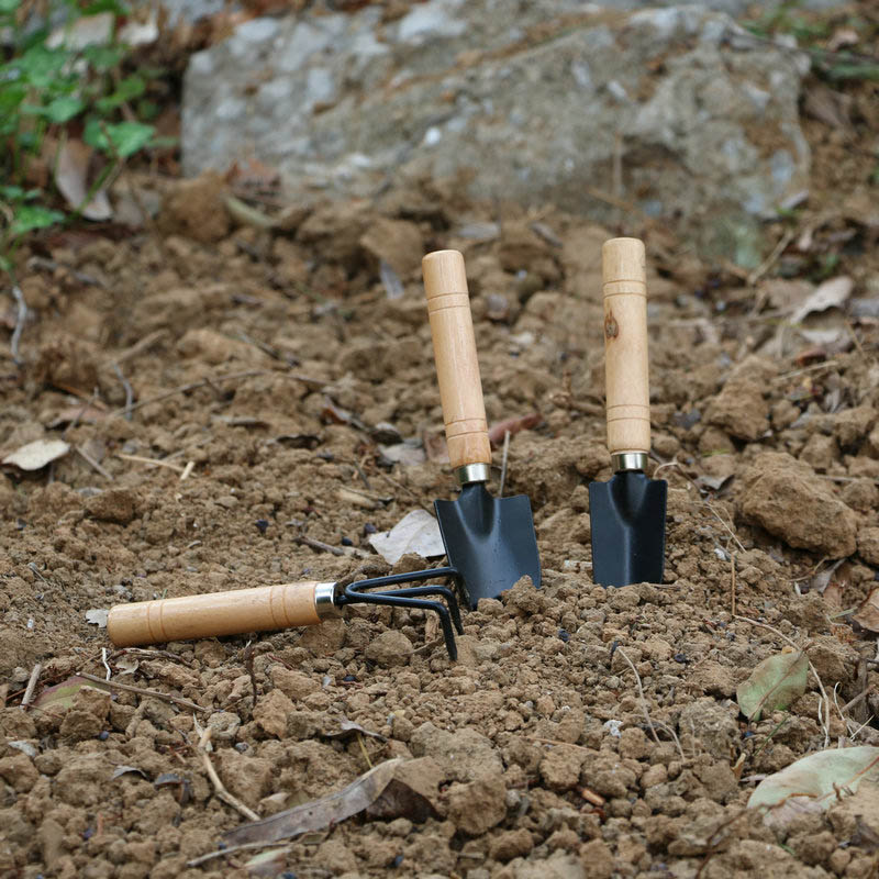 3Pcs/Set Mini Garden Tool Set  - огляд і ціна Gardening Tools Bundle