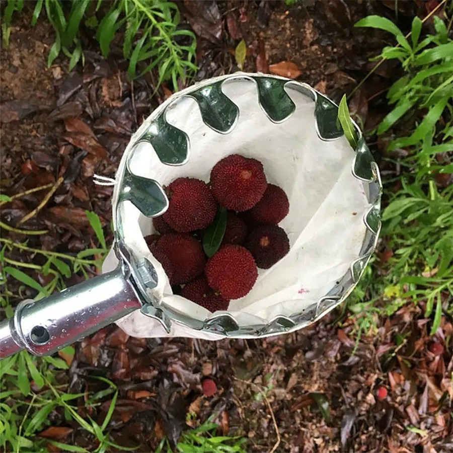 3-in-1 Fruit Harvesting Tool S - огляд і ціна Gardening Tools Bundle