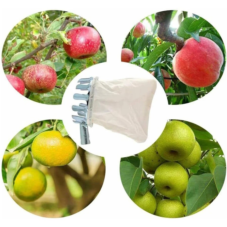 3-in-1 Fruit Harvesting Tool S - огляд і ціна Gardening Tools Bundle