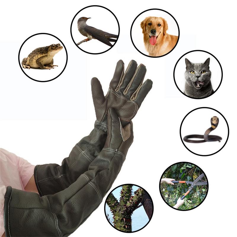 Pet Gloves Cowhide Leather Ant - огляд і ціна Gardening Tools Gloves