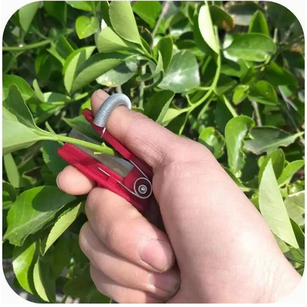 Vegetable Picking Tool Thump K - огляд і ціна Harvest Knife Garden
