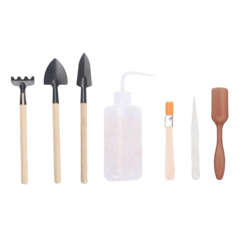 Succulent Transplanting Tools  - огляд і ціна Bonsai Tool Set
