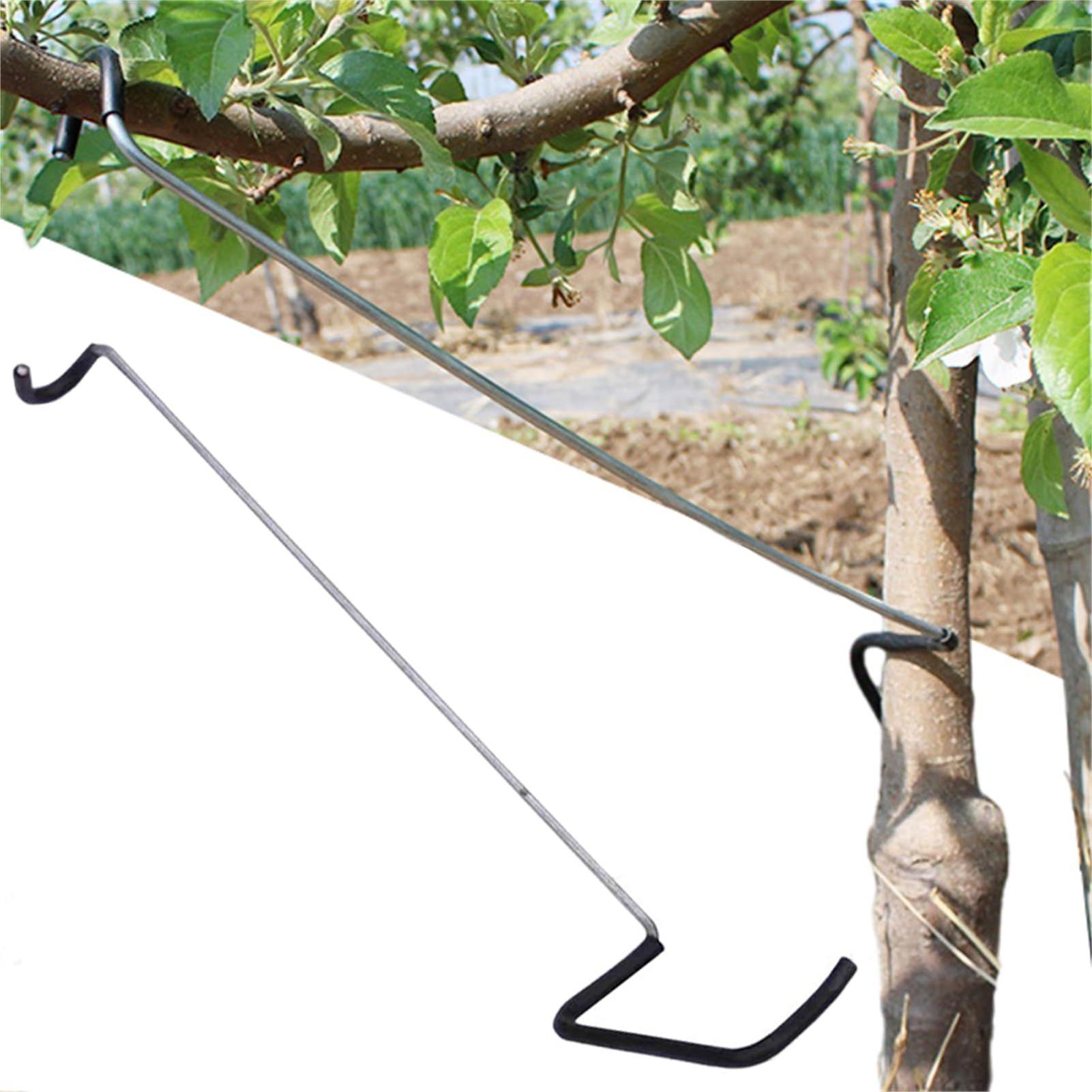 Fruit Tree Branch Spreader 10P - огляд і ціна Gardening Tools Bundle