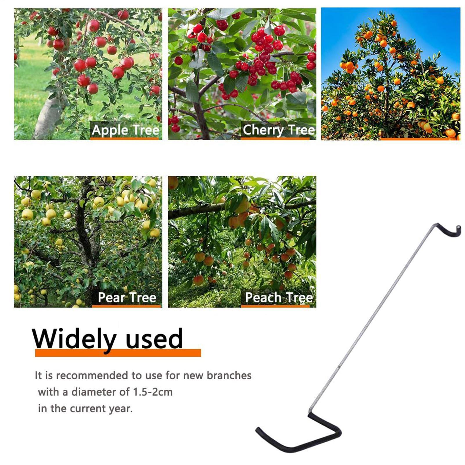Fruit Tree Branch Spreader 10P - огляд і ціна Gardening Tools Bundle
