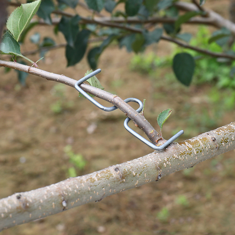 30pcs/set Fruit Tree Branch Pu - огляд і ціна Gardening Tools Bundle