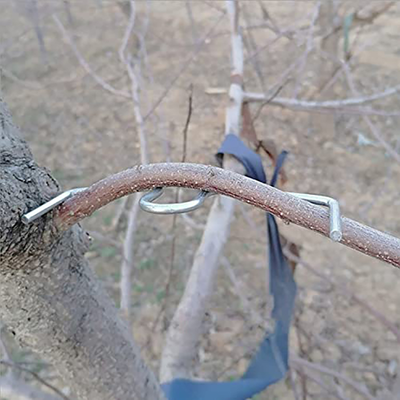 30pcs/set Fruit Tree Branch Pu - огляд і ціна Gardening Tools Bundle