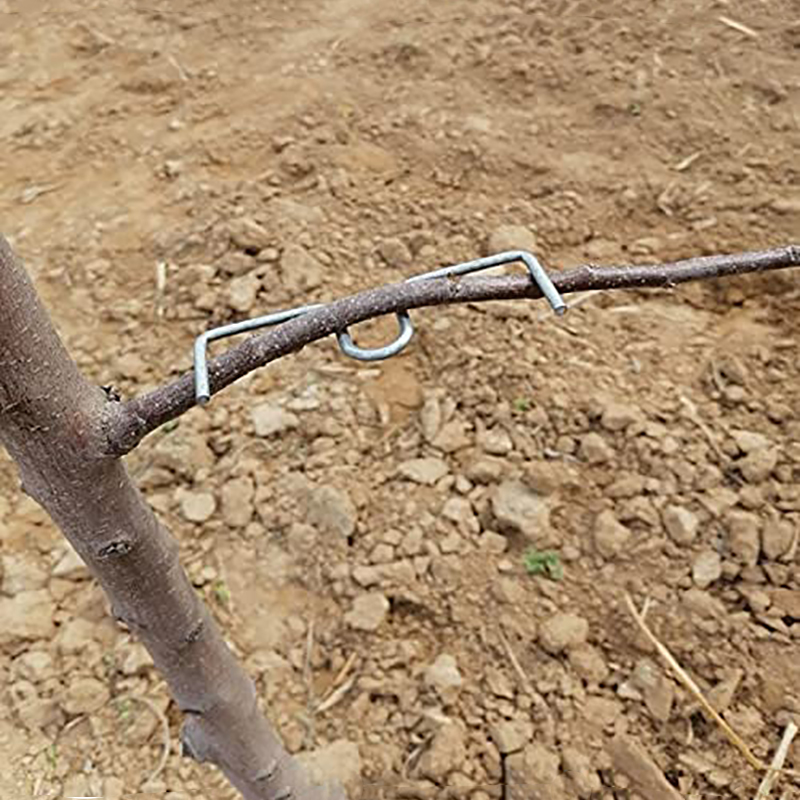 30pcs/set Fruit Tree Branch Pu - огляд і ціна Gardening Tools Bundle