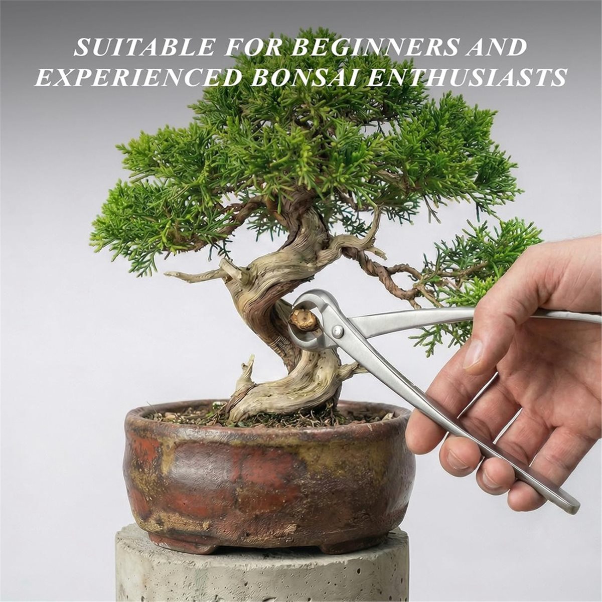 AWAH Bonsai Tools Set- High-Ca - огляд і ціна Bonsai Tool Set