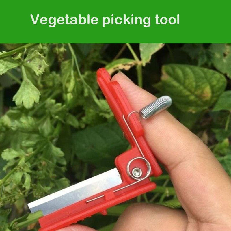 Knife Separator Vegetable Frui - огляд і ціна Harvest Knife Garden