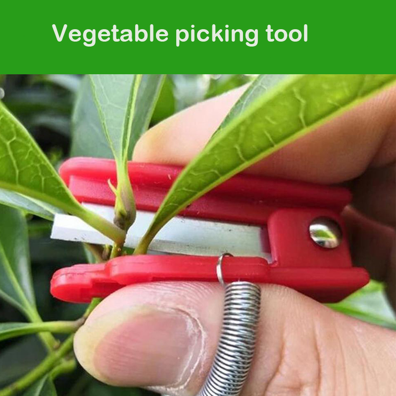 Knife Separator Vegetable Frui - огляд і ціна Harvest Knife Garden