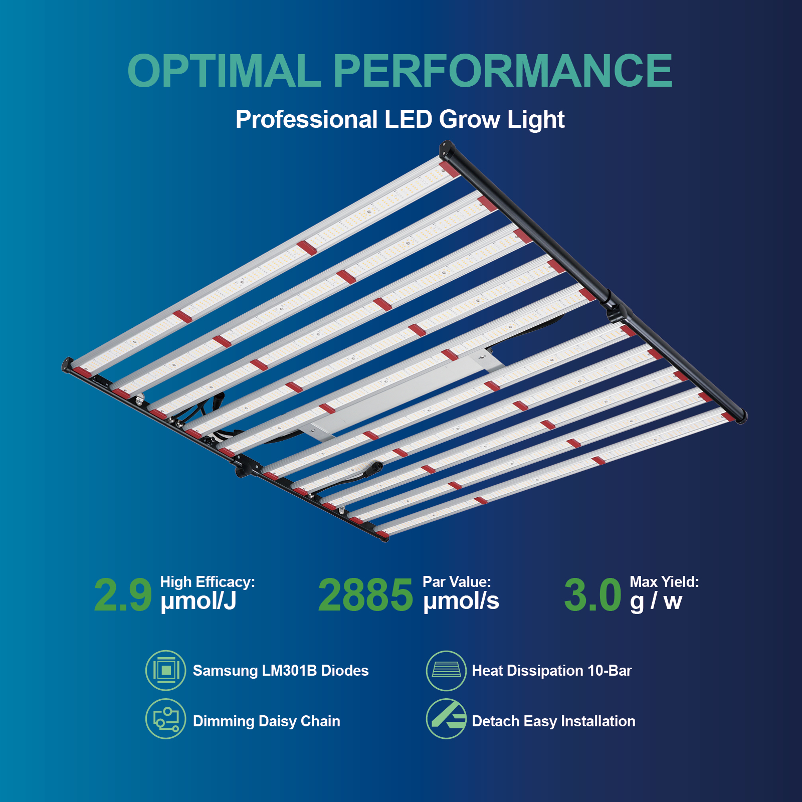 ETL 240W 320W 600W 800W 1000W  - огляд і ціна Led Grow Light