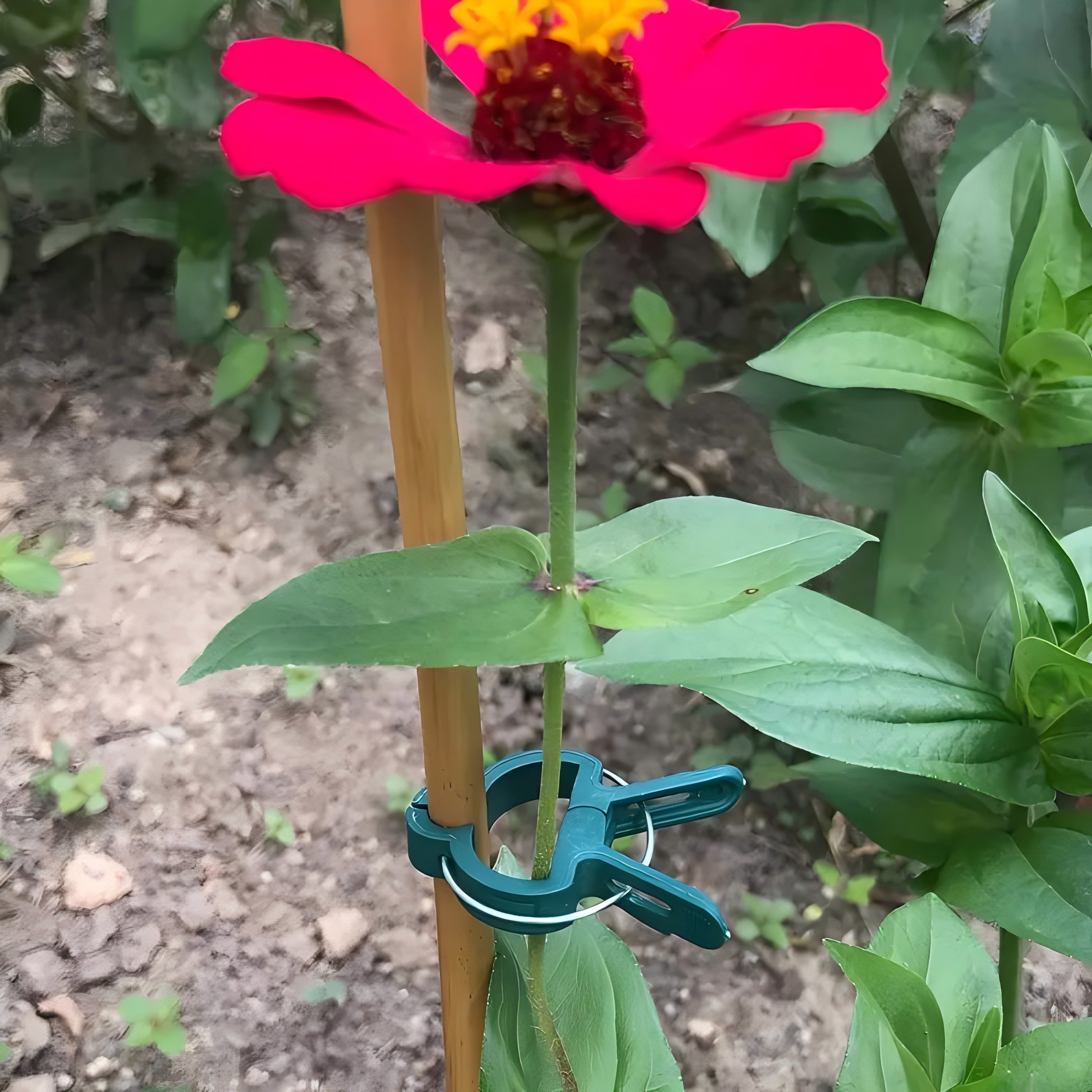20 Adjustable Plant Support Cl - огляд і ціна Essential Gardening Tools