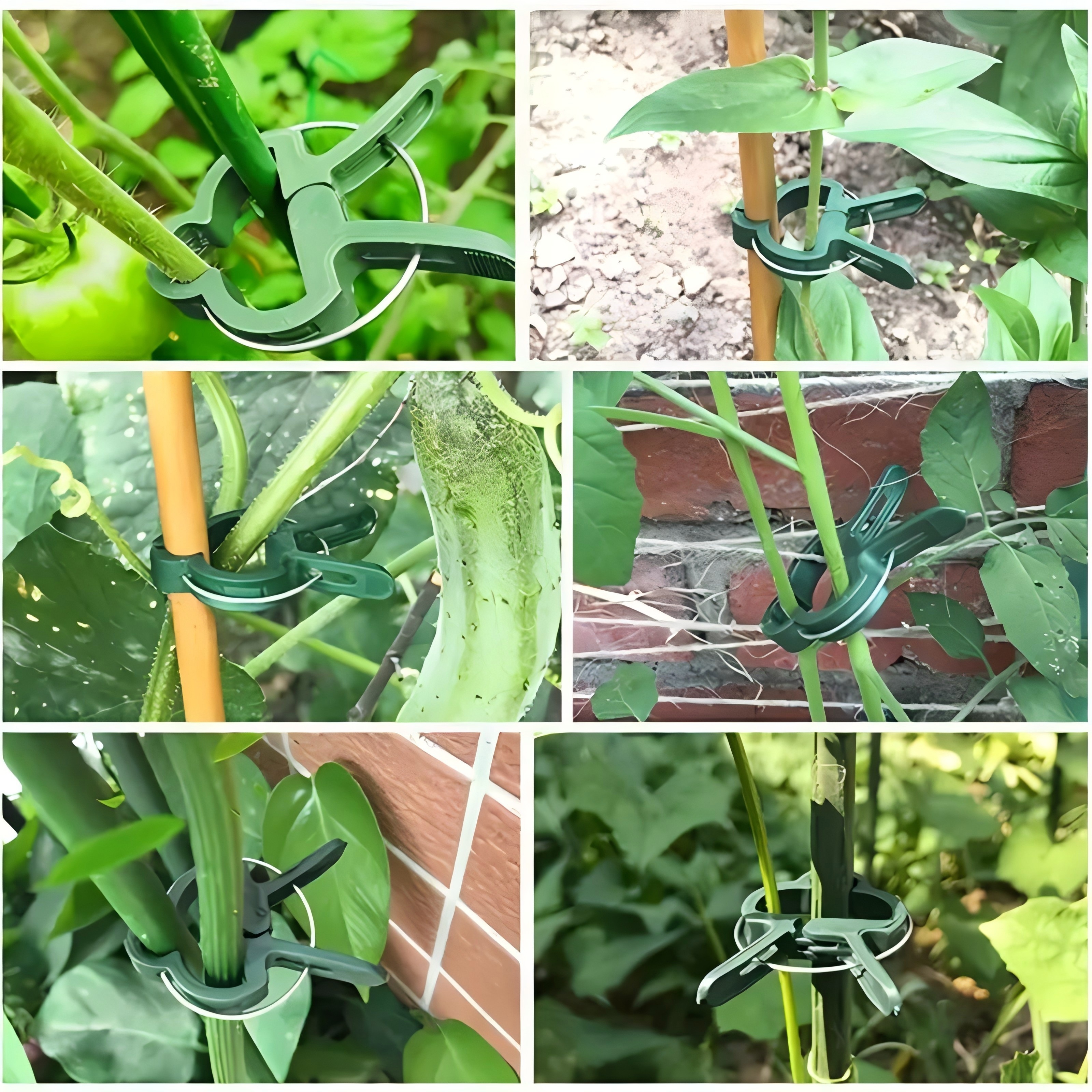 20 Adjustable Plant Support Cl - огляд і ціна Essential Gardening Tools