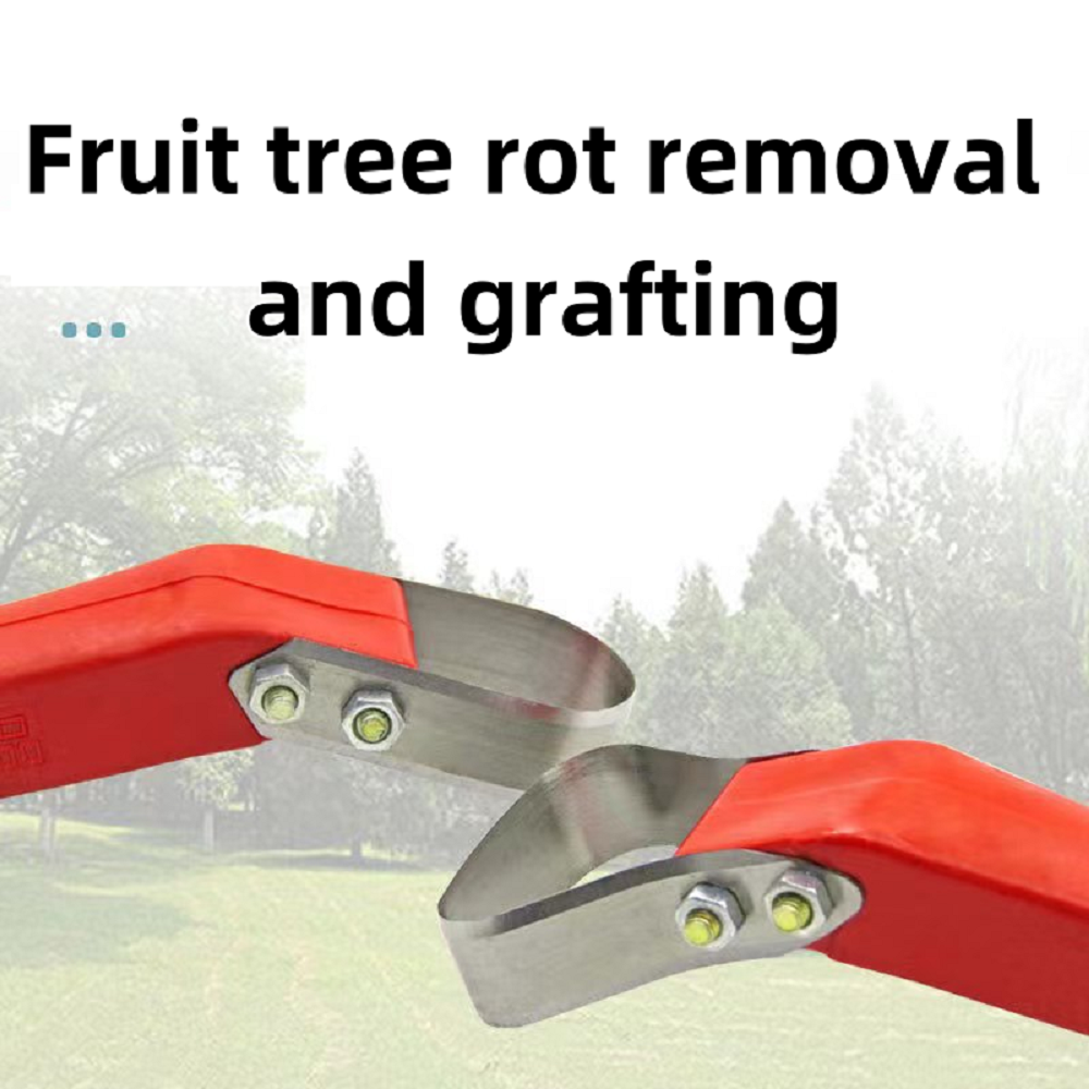Fruit Tree Rot Scraping Bark K - огляд і ціна Essential Gardening Tools