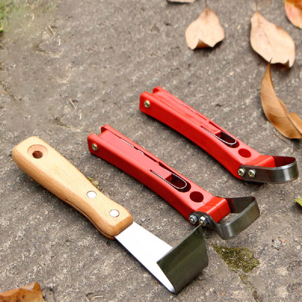 Fruit Tree Rot Scraping Bark K - огляд і ціна Essential Gardening Tools