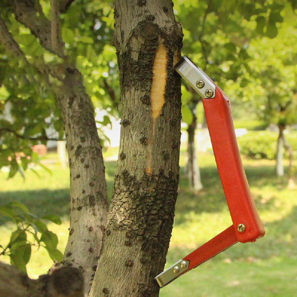 Fruit Tree Rot Scraping Bark K - огляд і ціна Essential Gardening Tools